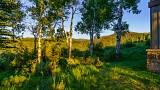 210_Aspen_Meadows_Road_031.jpg