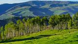 210_Aspen_Meadows_Road_025.jpg