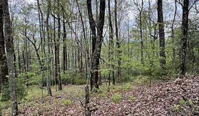 Lot 11D Summit Ridge Drive