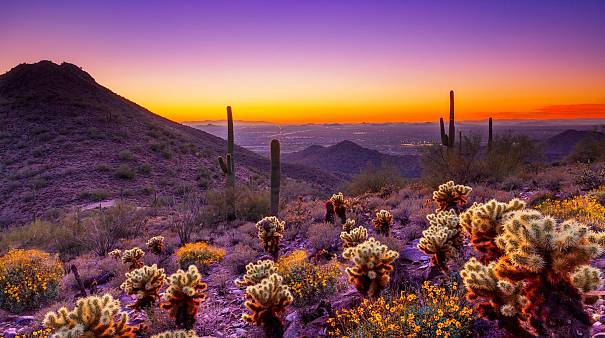 Scottsdale, AZ, USA