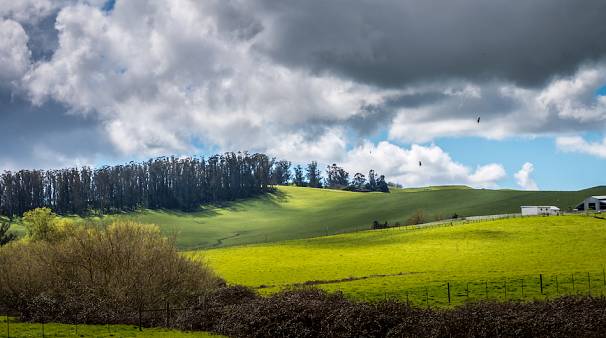 Petaluma, CA, USA